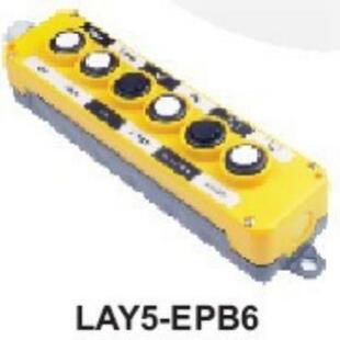 EPB6 LAY5 汽车升降尾EPB系列起重按钮盒 Mafelec 行车开关
