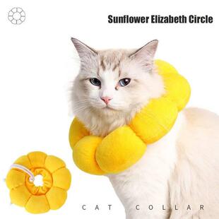 Cotton Elizabeth Neck Sterilization Cat Feeding Sunflower