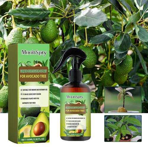 Moonspry Avocado Fertilizer Spray Plant Potted Fruit Tree Ro