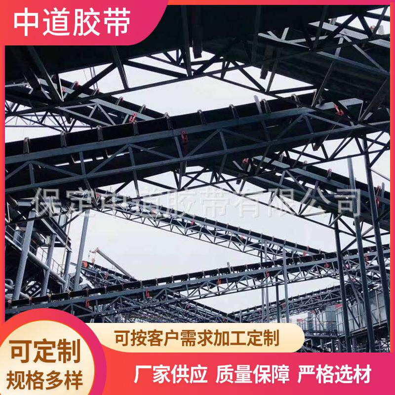 尼龙橡胶固定式输送机 装卸车抗高温橡胶输送带架托辊