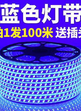 220V蓝色灯条超高亮天花吊顶KTV招牌灯箱装饰长条灯蓝光LED灯带