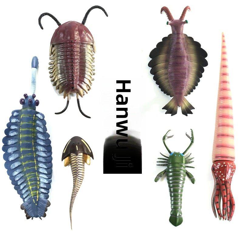 仿真寒武纪古生物化石三叶虫角石板足鲎海洋动物儿童认知玩具模型