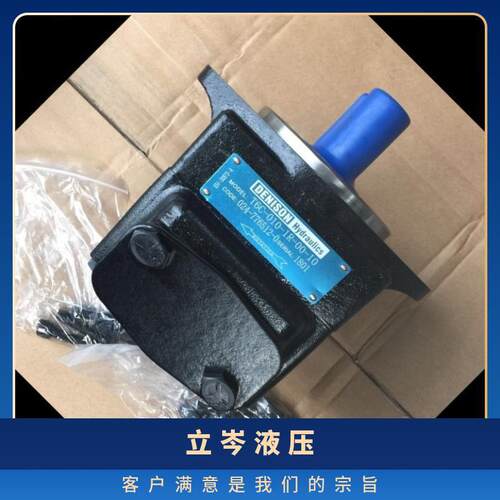 DENISON丹尼逊T6叶片泵T6DC-038-22-1R00、T6C-006-1R00-C1高压