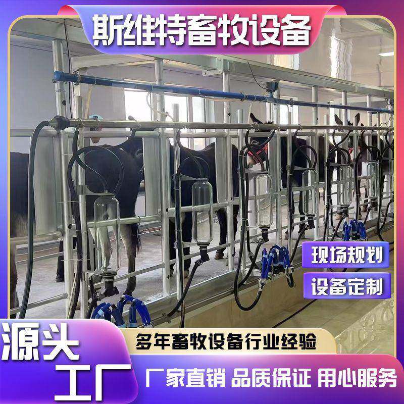 养殖场挤奶厅鱼骨式计量瓶挤奶厅自动挤奶设备布局合理使用方便