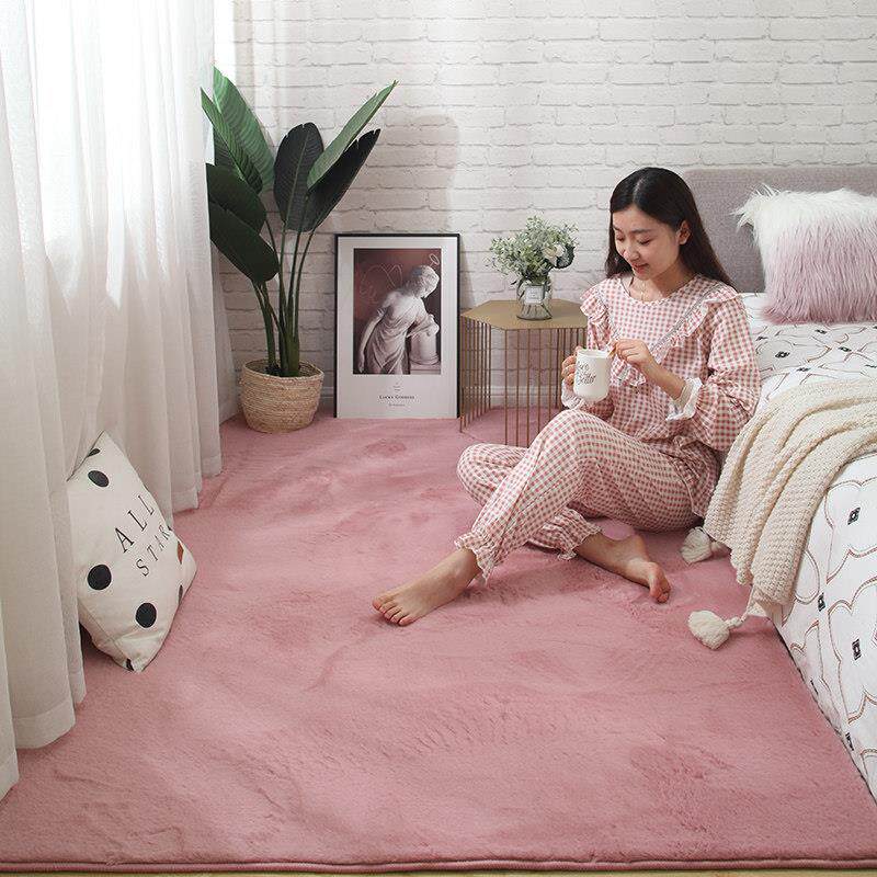 彷兔毛地毯卧室床边毯子少女风格客厅地板垫加厚长毛绒飘窗垫定制