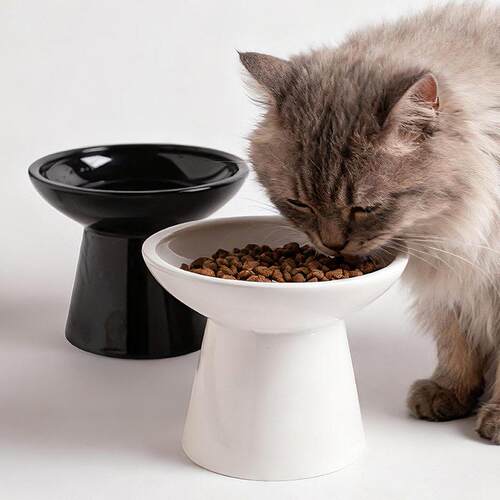 黑碗猫咪黑色猫碗猫食盆陶瓷宠物喝水碗饭碗高脚平口碗防打翻护颈