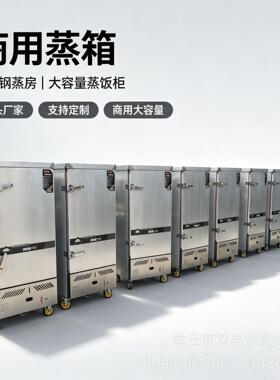不锈钢门6盘电跟燃气两用蒸柜 酒店商用蒸箱包子馒头蒸柜