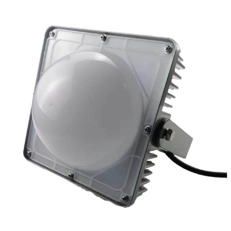 ZH9307 50W IP66 AC220V 白光 6000K LED 多功能强光工作灯