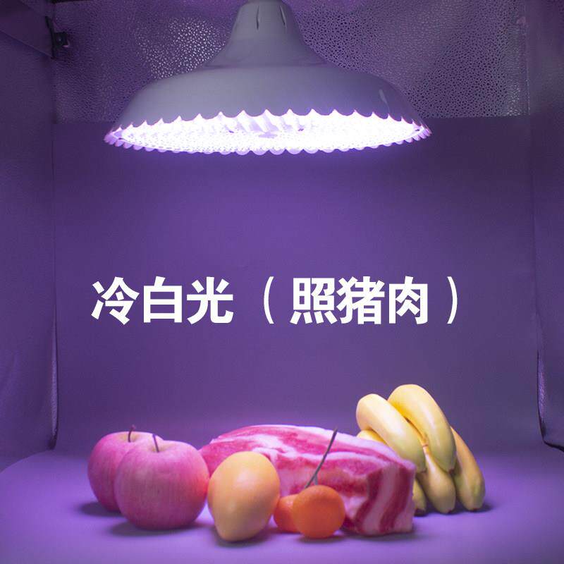 鸿途2025新款led生鲜灯隐形红超亮猪肉灯牛肉海鲜熟食市场专用灯