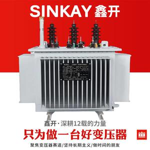 250kva油浸式变压器500容量630功率315型号400kw负载800容1000