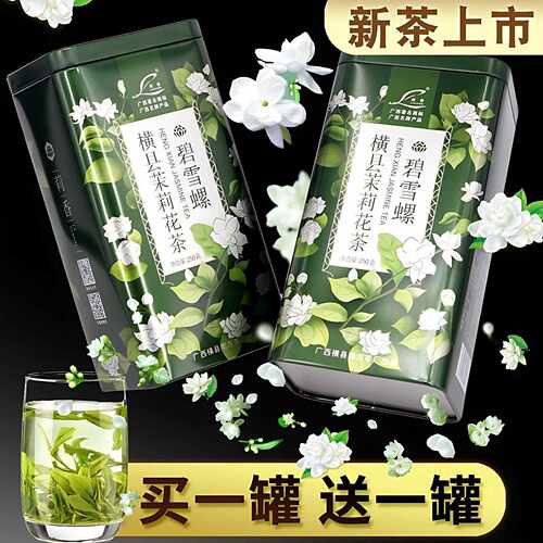 广西横县新茶茉莉花绿茶浓香型茶叶共500克横州