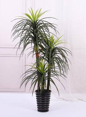 室内仿真植物龙须铁丝兰草龙血铁家居装饰绿色植物橱窗摆件盆景