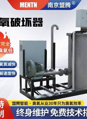 腾盟M-O3-P污水臭氧尾气毁灭器分解的装置VOD、处理厂家多介质