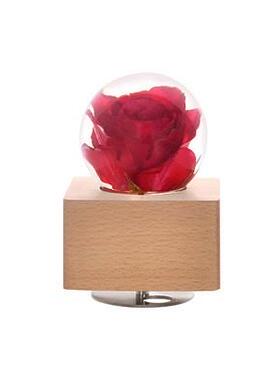 高档水蒲脂公英标本玫瑰永生花雏菊植物立方体晶摆居件树车载家镇