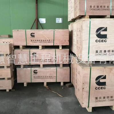 特惠康明斯ISL燃油泵总成3973228CCR1600燃油泵2897500 2872545