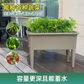 大容量种菜盆长方形，种植箱自吸水塑料盆，蔬菜专用神器庭院户外花槽