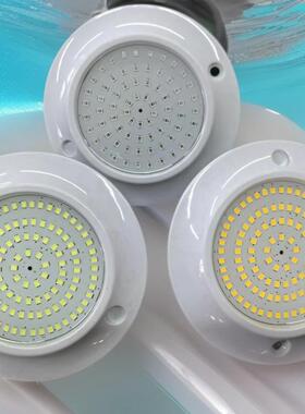 壁挂泳池1灯带85-265V变压器一式体控制器GBS-12w-遥控RGBIP682W