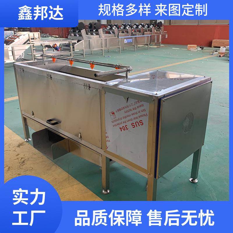 果疏毛辊清洗去皮一体机毛桃百香果高压喷淋清洗线