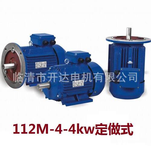 YE3-112M-4-4W预定式现货供应三相异步电动机电机变频