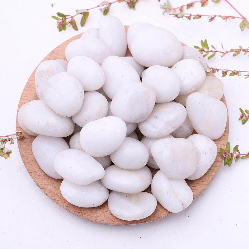 白色抛光鹅卵石江苏园林铺路雨花石头鱼缸造景园艺盆栽高光石块