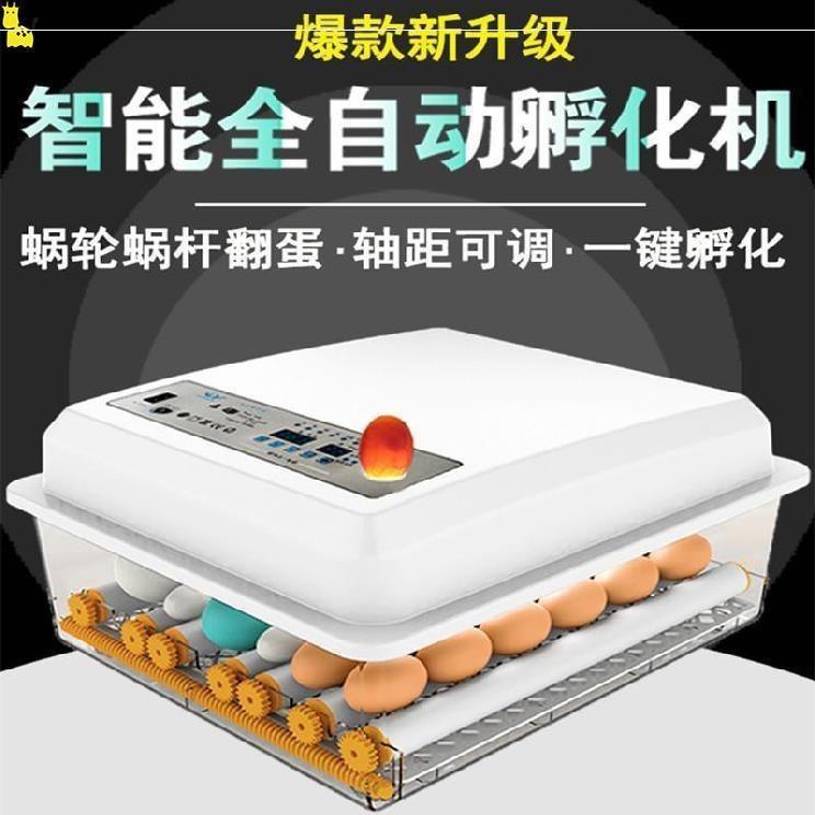 孵小鸡的机器孵化机呼鸭鹅水床家用全自动小型敷鸡蛋鹌鹑照垒德株