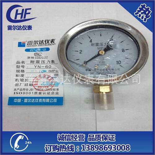 厂家直销尔达水Y60YNTN100耐震充油压力875表抗震压雷表