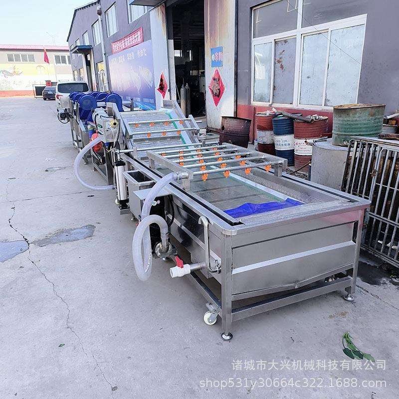 大型肉制品海参龙虾气泡清洗机蔬菜洗菜机肉类鱼类解冻清洗流水线