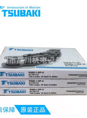 RS6,0-1 链条,TSUB6AKI,国标119312A链条,RS0--RP,长寿命 高