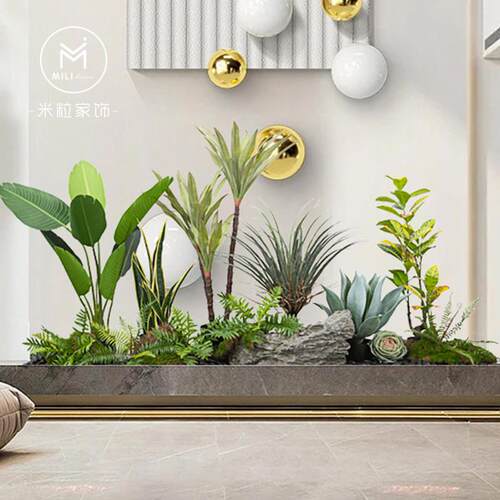 中小型彷真绿色植物造景网红饭厅隔断盆景彷生植物景观装饰橱窗假