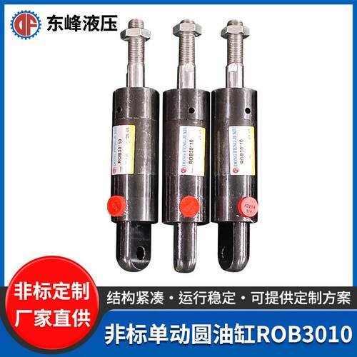 非标单动圆油缸ROB3010船舶机械设备油缸小型活塞式液压油缸