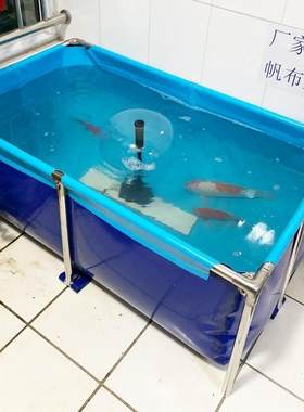 养鱼池大型帆布加厚鱼箱养殖防水布支架带户外鱼缸塑料庭院用水池