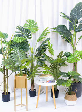 北欧龟背叶植物室内装饰仿真绿植仿真龟背装饰绿色盆景