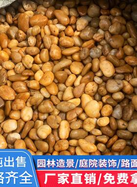 南京雨花石黄色鹅卵石抛光公园水池广场施工布景园林铺路庭院石头