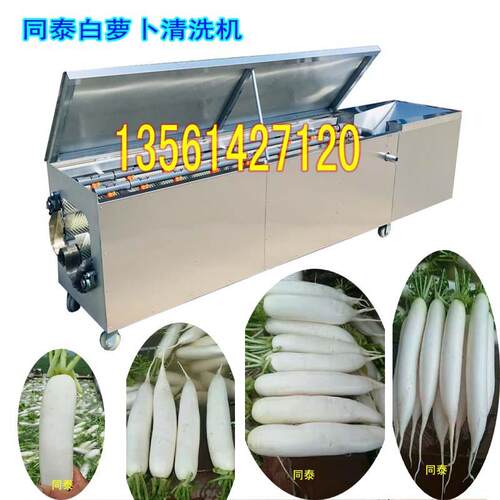 厂家直销清洗白萝卜土豆红薯毛刷机 全自动白萝卜清洗机 水洗山药