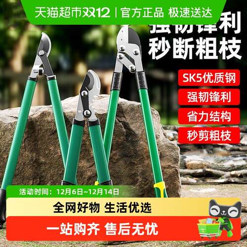 胜达粗枝剪修剪树枝剪刀果树修枝大力剪省力园林剪树枝专用强力剪
