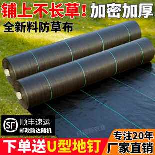 防草布除草布抗老化果园果树遮草盖草布农用园艺地布耐用透气保湿