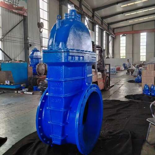 国标软密封法兰加长杆大口径电动闸阀DN600给排水阀门Z945X可