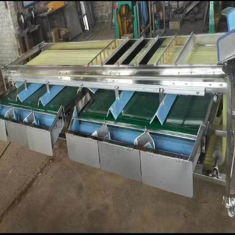 莲雾筛选设备商用果品分级机轨道式酸枣选果机软包装不伤果
