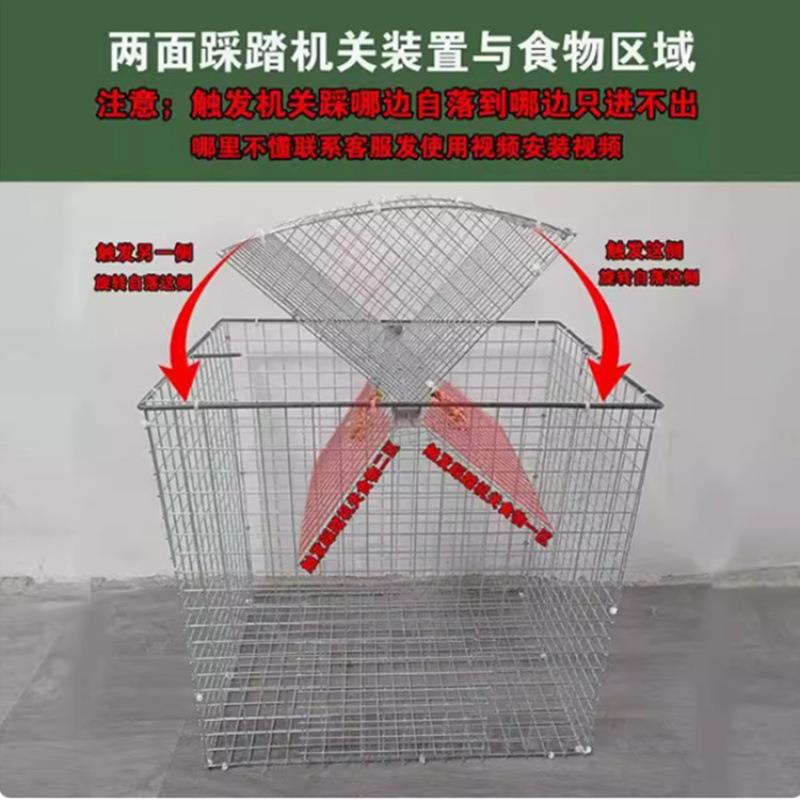 笼家用鸽笼新款训放笼旋转笼撞门训折叠鸽子笼金属春柚辰图片