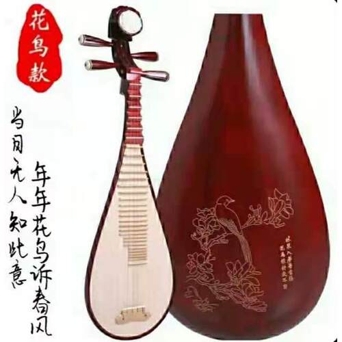 高档人琵琶乐器初学练习儿童入门成检作定考试教学手工制厂直销正