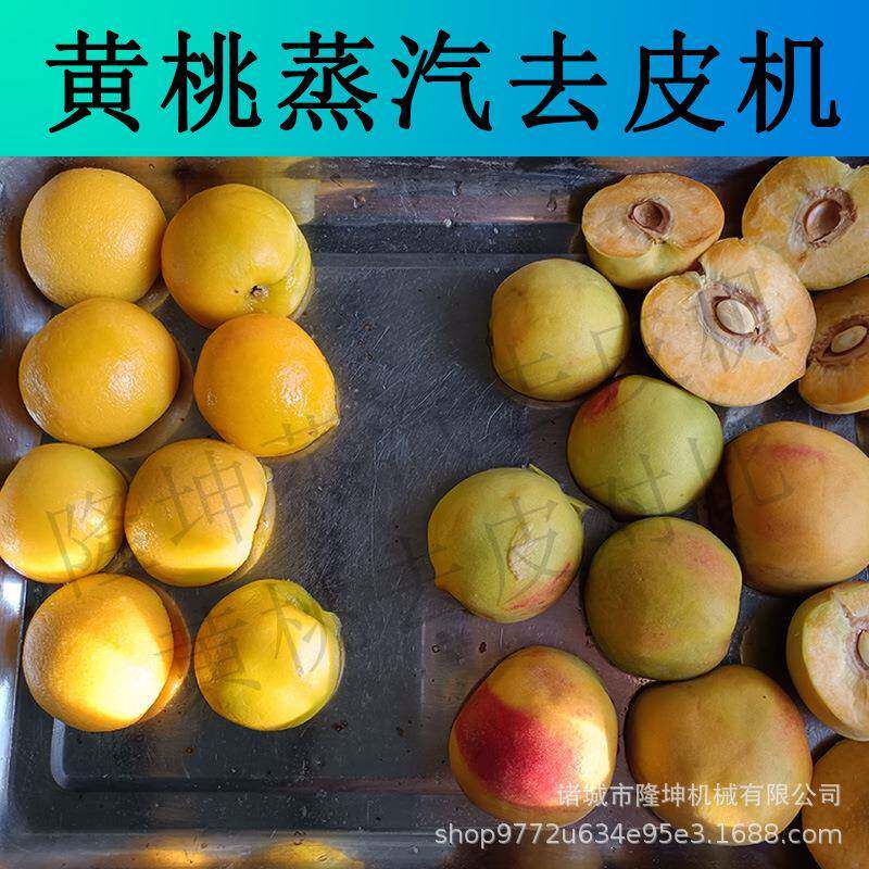 大型白桃黄桃去皮机葡萄西红柿蒸汽爆皮机土豆红薯全自动脱皮机