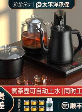 茶皇子自动上水煮茶器 嵌入式电热水壶 泡茶桌专用 防干烧不锈钢