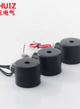 优质2W-160-15 2W-200-20 DN15 4分6分电磁阀全铜线圈+铁壳AC220V