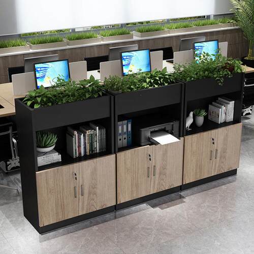 物文件柜花矮柜办公室职员资料TLV柜木质隔断槽柜档案办公柜子储