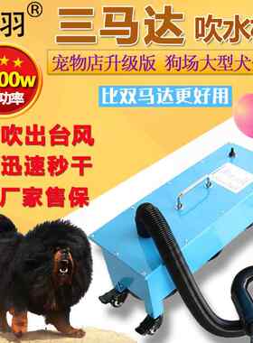 三马达宠物吹水机3600w大功率速干大型犬宠物店低音吹干机吹风机