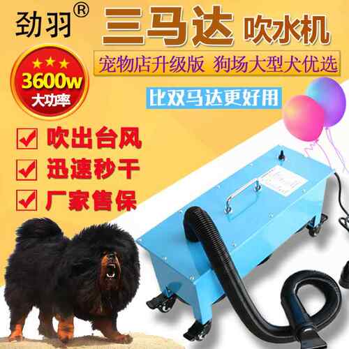 三马达宠物吹水机3600w大功率速干大型犬宠物店低音吹干机吹风机