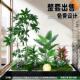 彷真绿植造景组合橱窗装 饰假植物造景室内阳台玄关布置氛围树