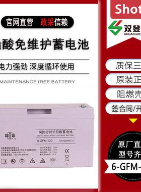 双登蓄电池6-GFM-100/12V6H/120AH/150AH/200AH直流屏EPS蓄电池