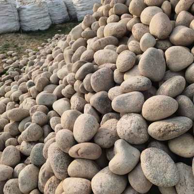 河卵石变压器用5-8公分河卵石水处理鹅卵石滤料园林修路鹅卵石