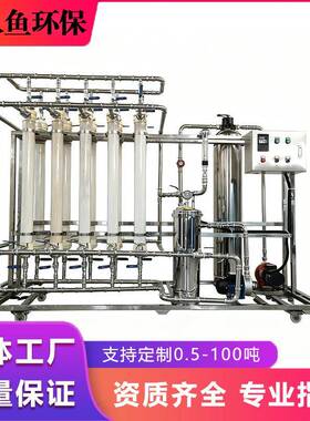 工厂净水设备纯水机处理器水厂矿泉水净化器全自动农村水库净水器